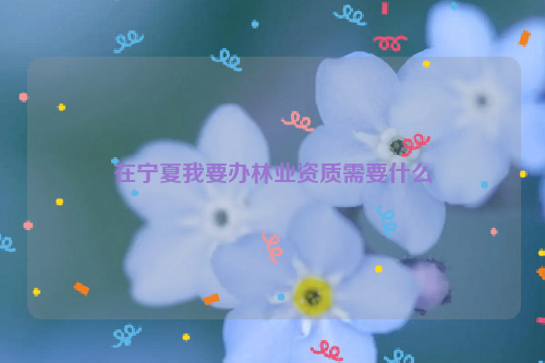在寧夏我要辦林業資質需要什么