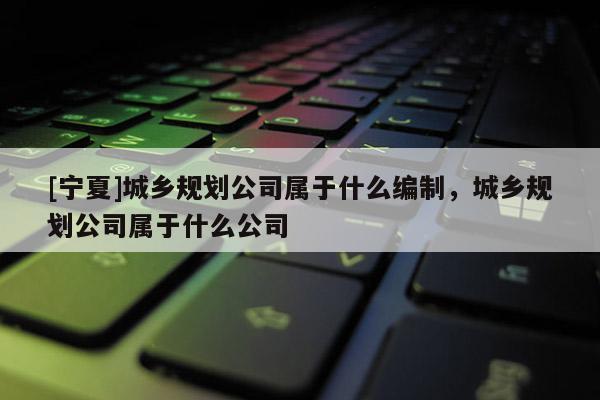 [寧夏]城鄉規劃公司屬于什么編制，城鄉規劃公司屬于什么公司