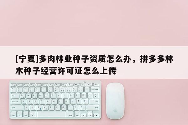 [寧夏]多肉林業種子資質怎么辦，拼多多林木種子經營許可證怎么上傳