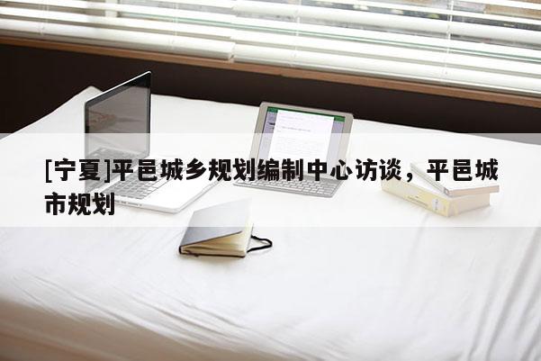 [寧夏]平邑城鄉(xiāng)規(guī)劃編制中心訪談，平邑城市規(guī)劃