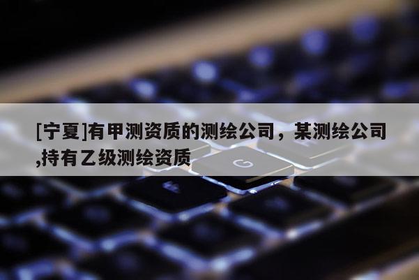 [寧夏]有甲測資質的測繪公司，某測繪公司,持有乙級測繪資質