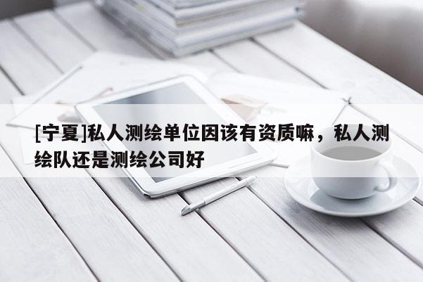 [寧夏]私人測繪單位因該有資質嘛，私人測繪隊還是測繪公司好