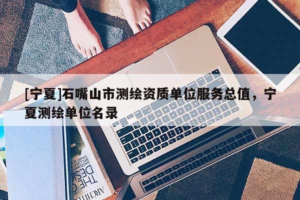 [寧夏]石嘴山市測繪資質單位服務總值，寧夏測繪單位名錄