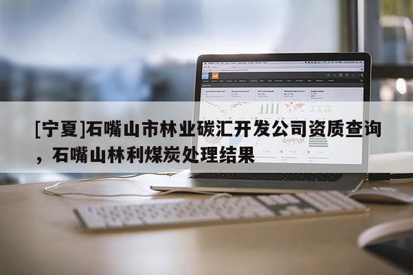 [寧夏]石嘴山市林業碳匯開發公司資質查詢，石嘴山林利煤炭處理結果